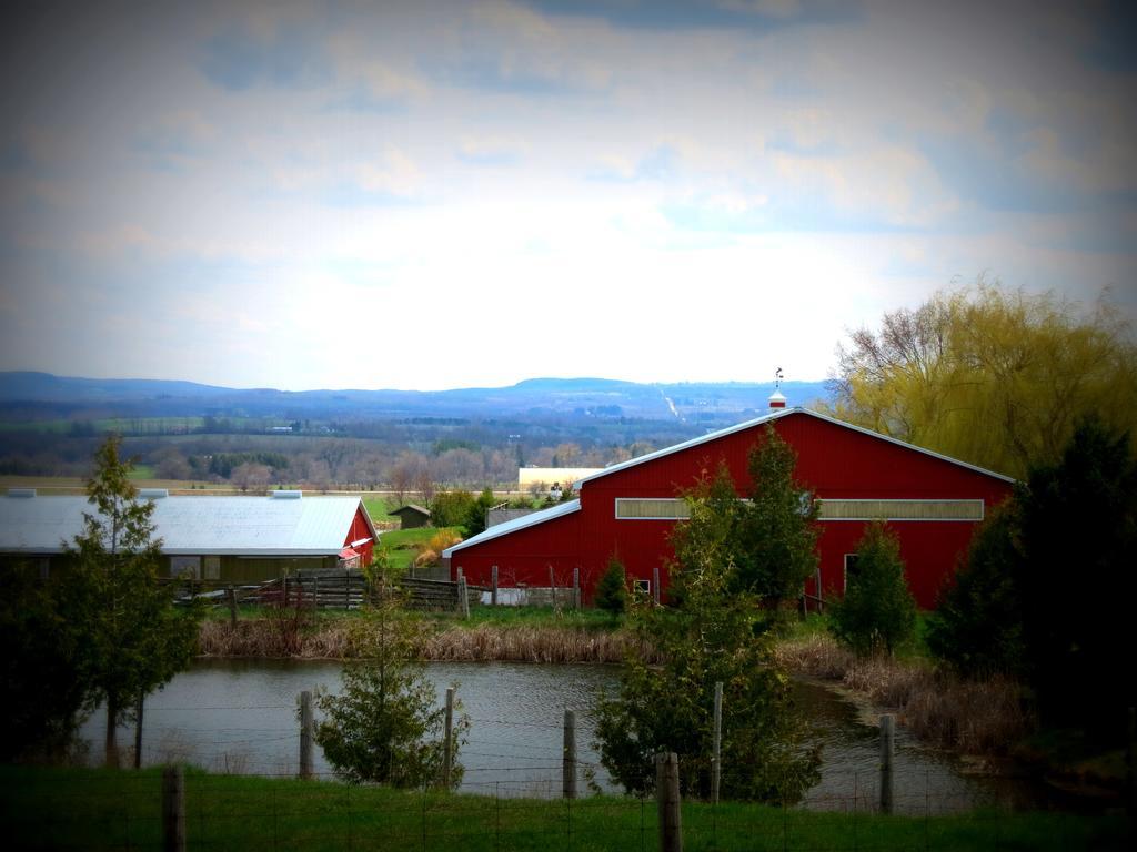 Heathcote Haven Bed & Breakfast Clarksburg Экстерьер фото